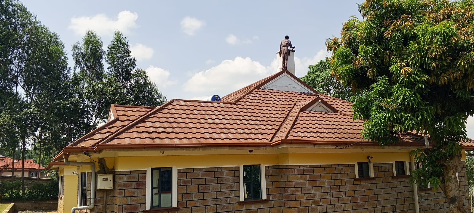 Focus roof restoration project